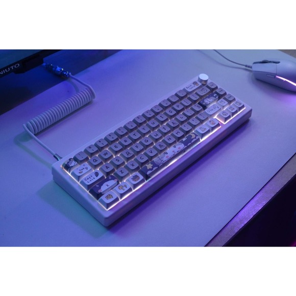 Custom modded mechanical keyboard GMK67 Lubed thocky hot-swap RGB Mouse Themed - Picture 5 of 9